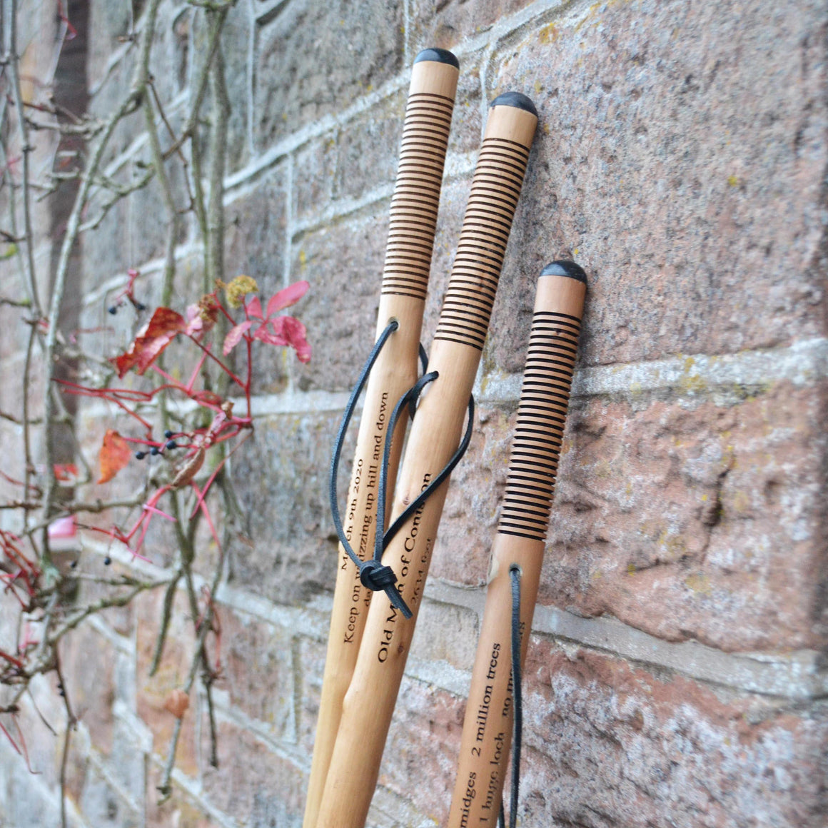 Walking Sticks